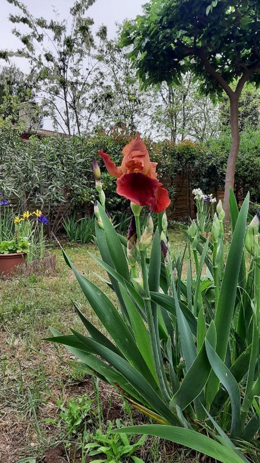 Maison Lumineuse Et Spacieuse Avec Jardin Arbore La Valette-du-Var Exteriér fotografie
